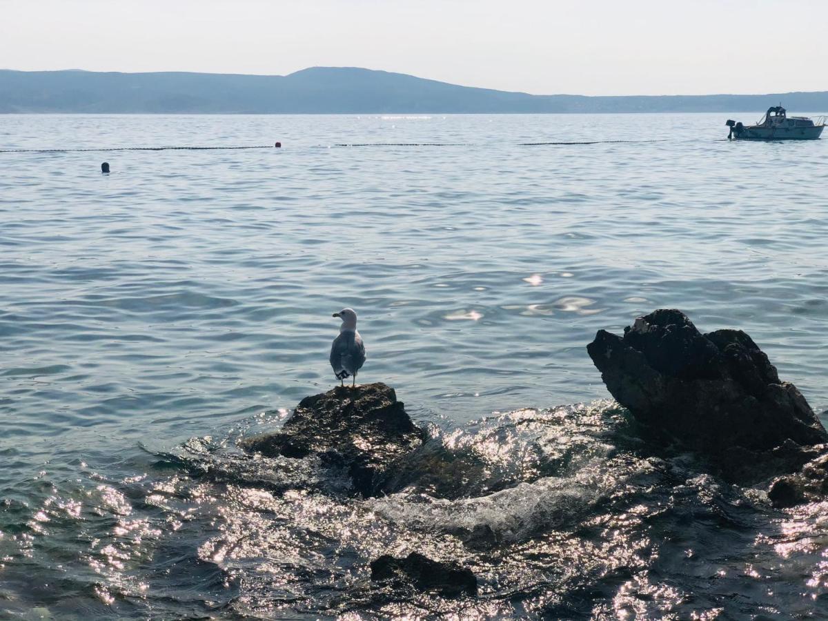 Apartman Meghan Novi Vinodolski Buitenkant foto